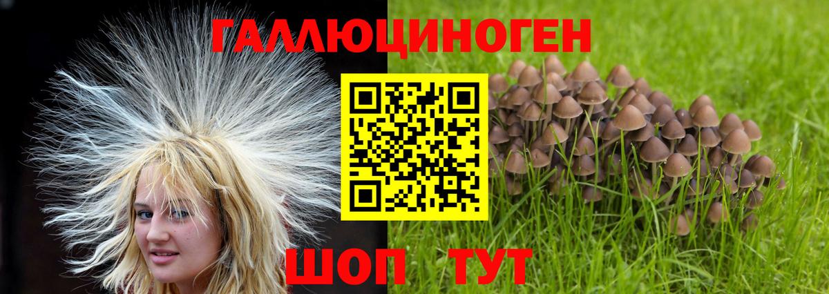 Галлюциногенные грибы MAGIC MUSHROOMS  Вход с VPN  Котельники 